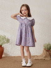 Young Girls Countryside Vacation Colorblock Ditsy Floral Peter Pan Collar Dress